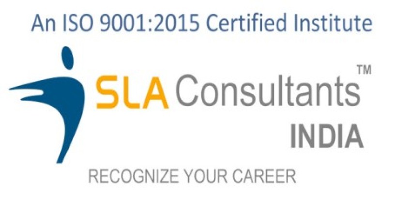 Logo Sla Consultants India