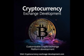 Best Cryptocurrency Exchange Development With Less Fees